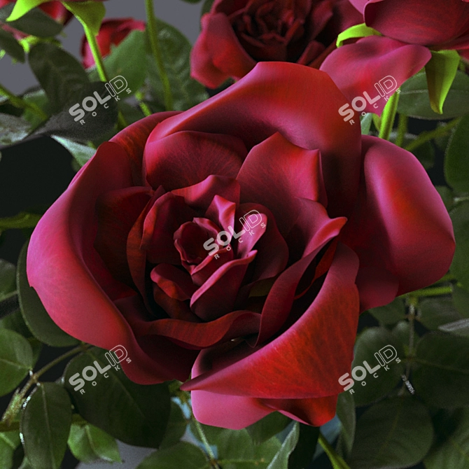 Everlasting Love: Belated Valentine's Roses 3D model image 2