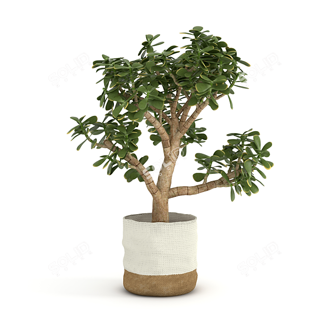 Lucky Money Tree: Bring Prosperity and Good Fortune 3D model image 1