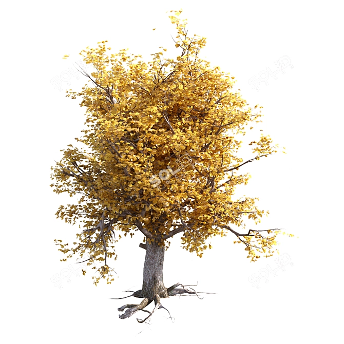 Autumn Oak Tree 3D model image 1