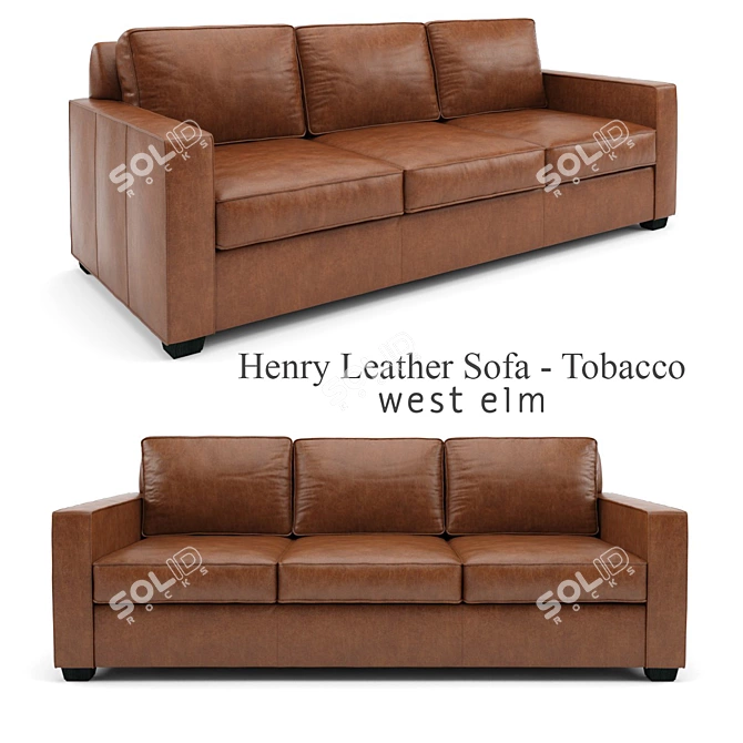 West Elm Henry Leather Sofa 3D model image 1