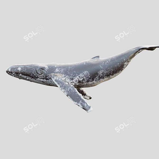 4K Grey Whale Sculpture 3D model image 1