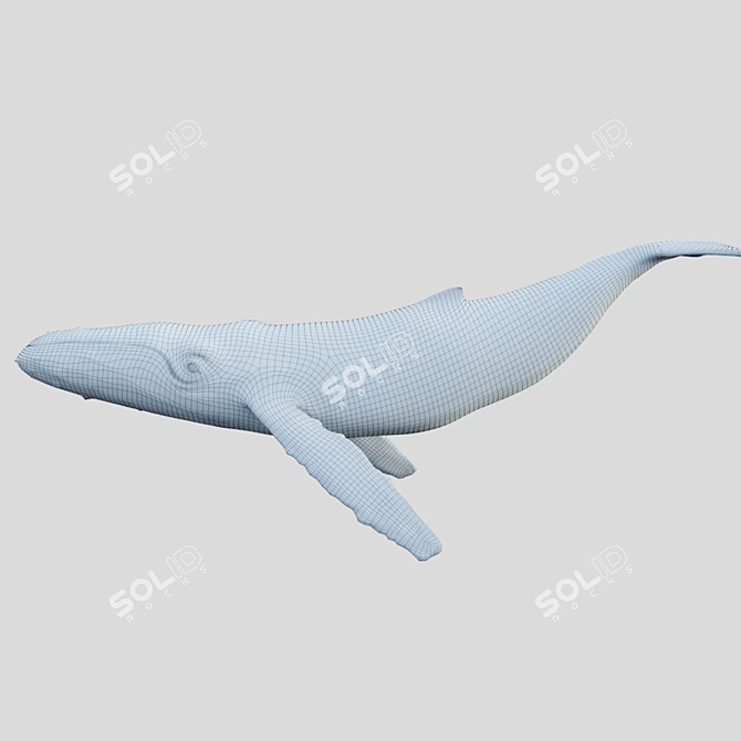 4K Grey Whale Sculpture 3D model image 3