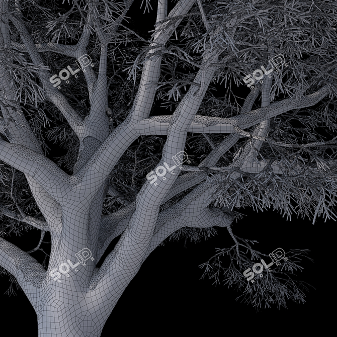 Snow Beech Tree: Winter Wonderland 3D model image 3