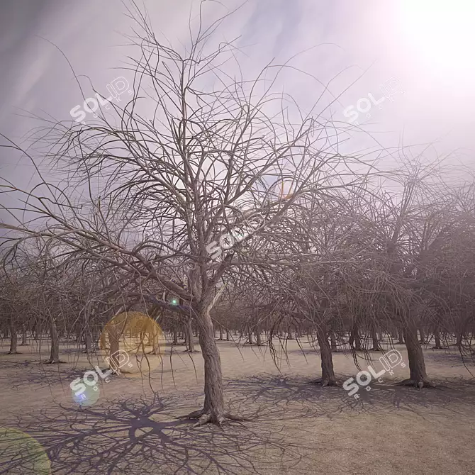 Winter Scene Essential: Bare Tree 3D model image 2