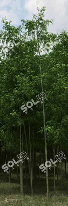 Bamboo Scatters: Natural Elegance for Your Space 3D model image 3