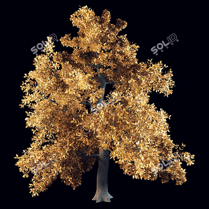 English Oak: Majestic and Resilient 3D model image 1