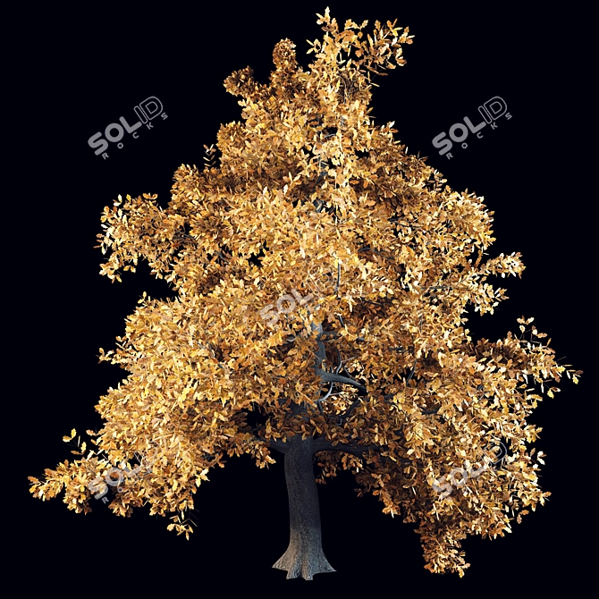 English Oak: Majestic and Resilient 3D model image 2