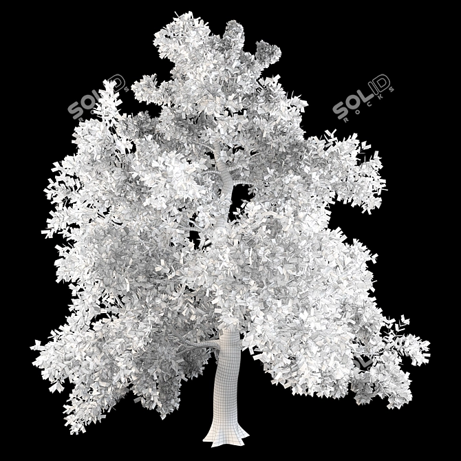 English Oak: Majestic and Resilient 3D model image 3