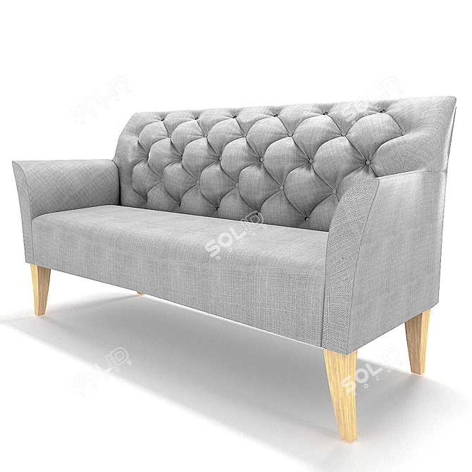 Beaudan Modern 2 Seater Sofa 3D model image 1