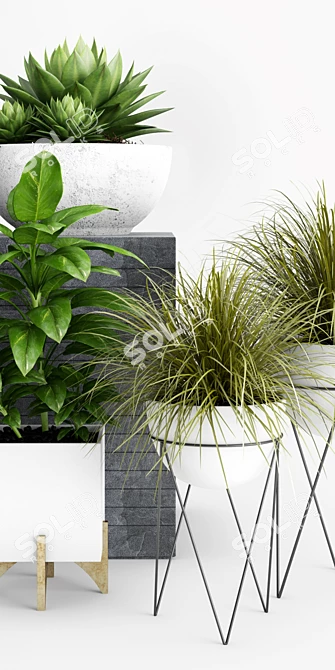 Botanical Beauties: Vibrant Plants & Stylish Planters 3D model image 2