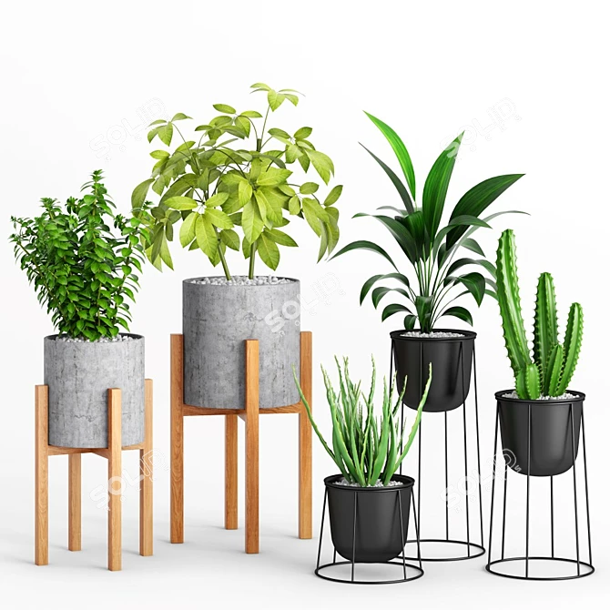 Wooden Leg Planters Set 3D model image 1