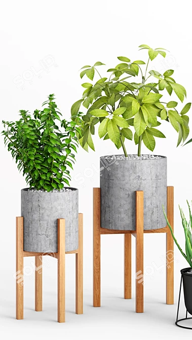 Wooden Leg Planters Set 3D model image 3