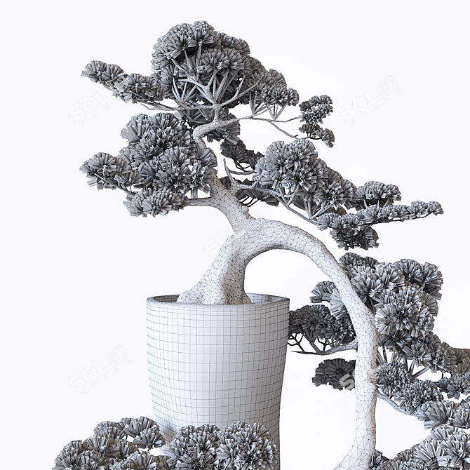 Elegant Bonsai Tree for Home Decor 3D model image 3
