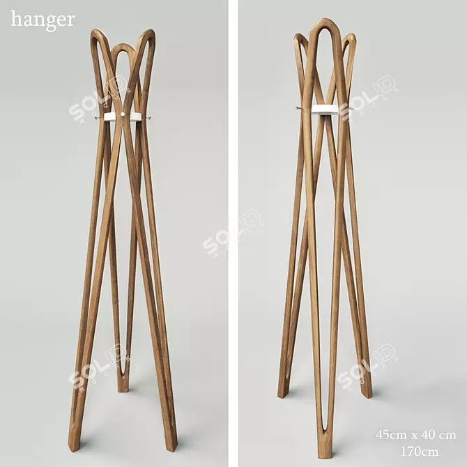 Designer Clothes Hanger by Alena Stacenko 3D model image 1