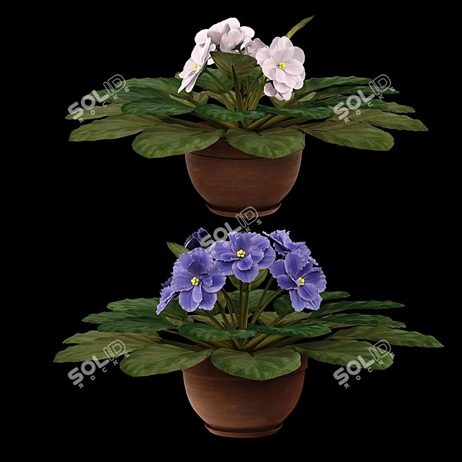 Elegant Violet Pot Plants 3D model image 1