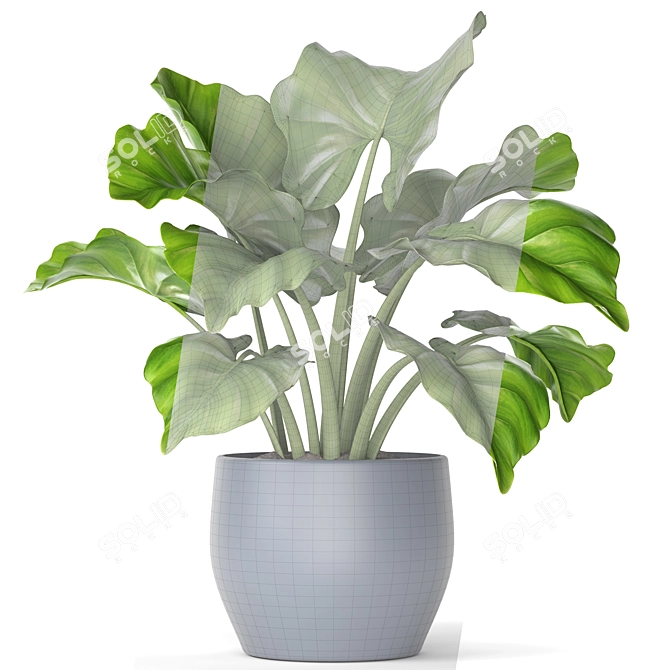 Greenery Delight: Potted Plant 3D model image 3