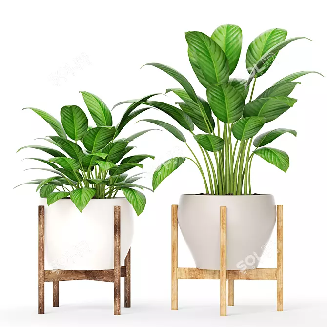 Potted Plant Collection 8 3D model image 1