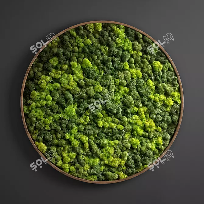 Moss Circle Panel: D800mm, UV Mapped 3D model image 1