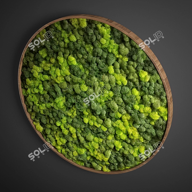 Moss Circle Panel: D800mm, UV Mapped 3D model image 5