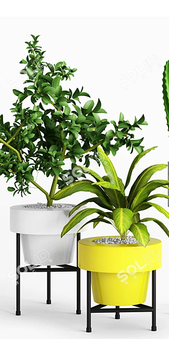 Dundee Floor Planters Duo 3D model image 2