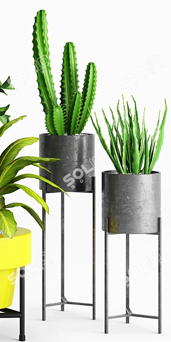 Dundee Floor Planters Duo 3D model image 3