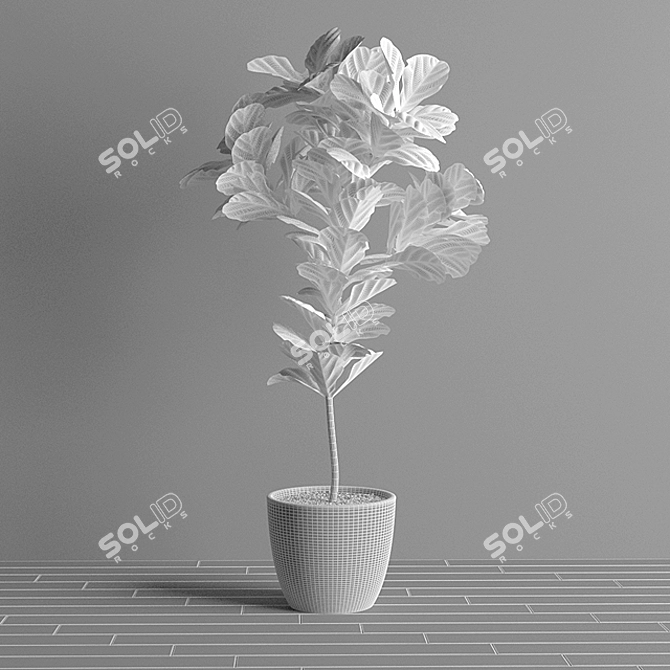 Lush Ficus Lyrata: Lifelike 3D Interior Plant 3D model image 3