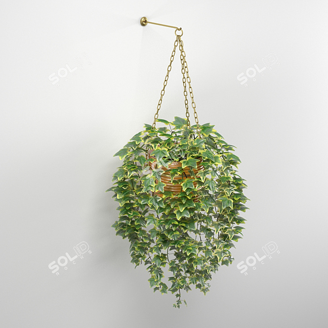 Hanging Ivy in Pot: Accentuate Shelf with Lush Greenery 3D model image 3