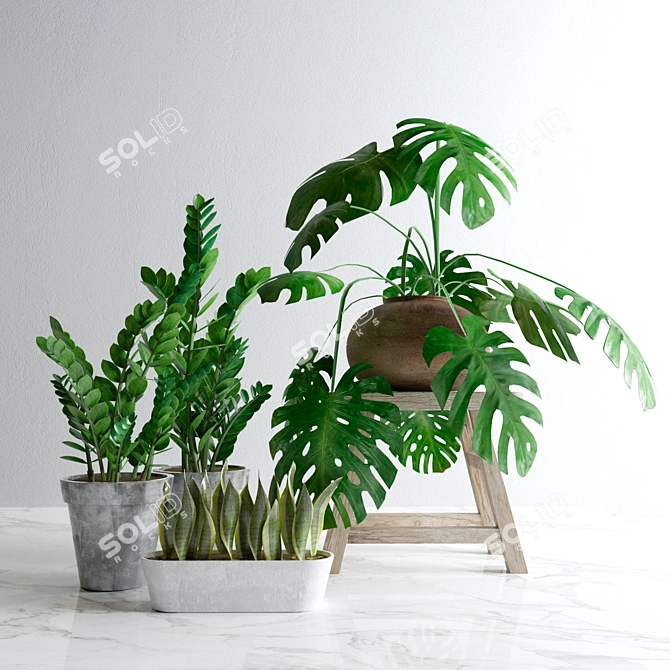 Lush Greenery Bundle: Plant Set 3D model image 1