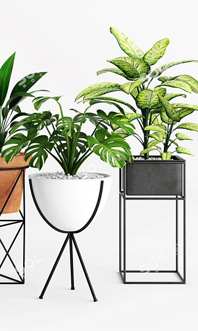 Modern Planters & Lush Greenery 3D model image 2