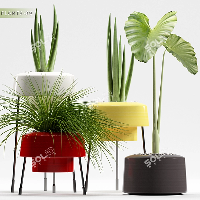 Green Oasis: 89 Unique Plants 3D model image 1
