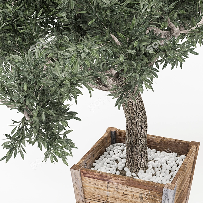 OliveTree: Green Oasis for Any Space 3D model image 2