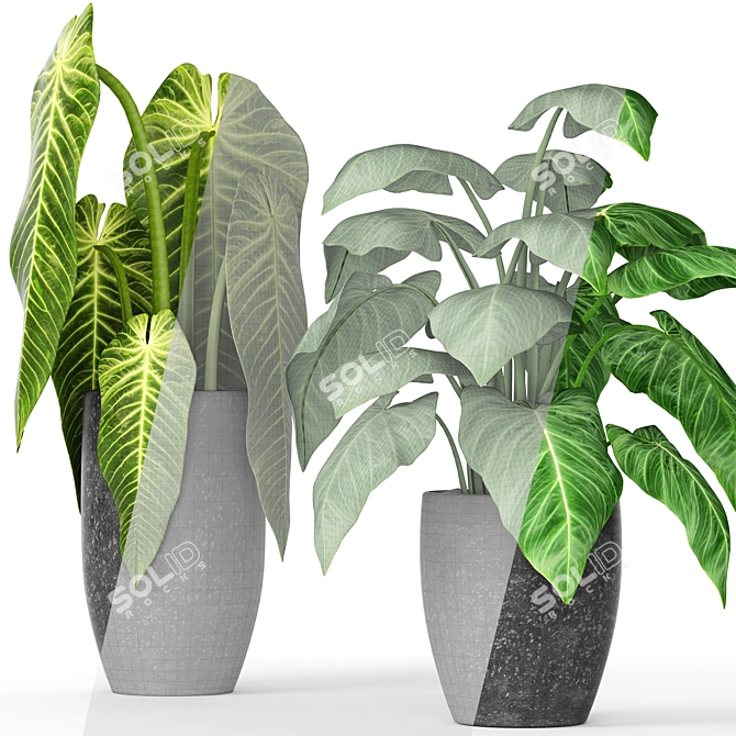 Greenery in Pots Collection 3D model image 3