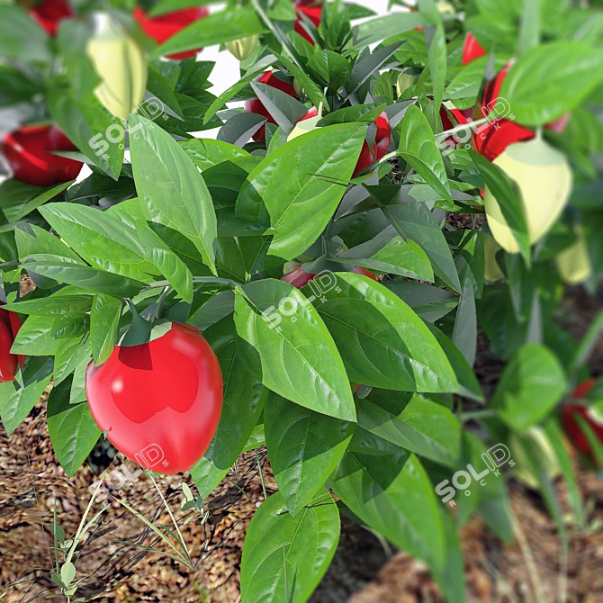 Sun-Kissed Peppers: Easy Growers! 3D model image 2