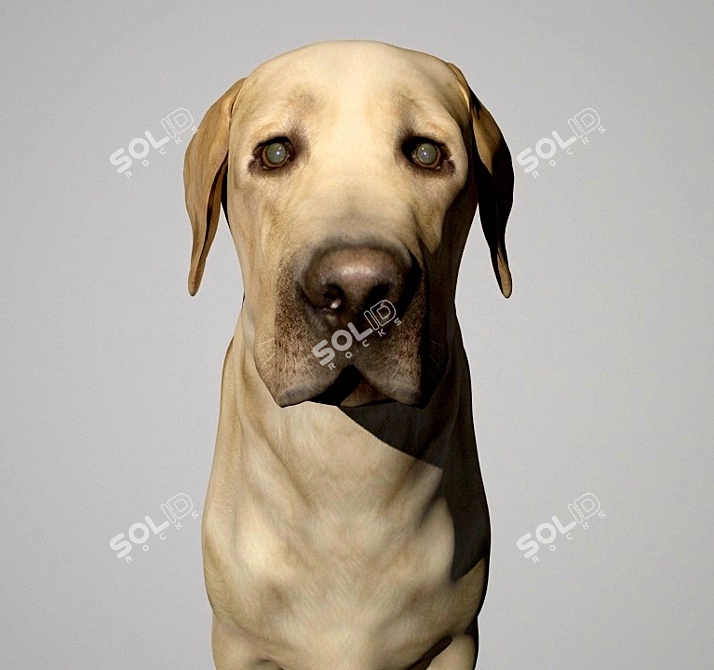 Adorable Labrador Dog Sculpture 3D model image 2