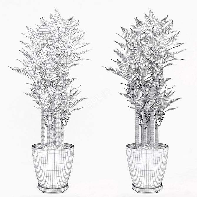 Mobile Dracaena Plant in Vase Stand 3D model image 3