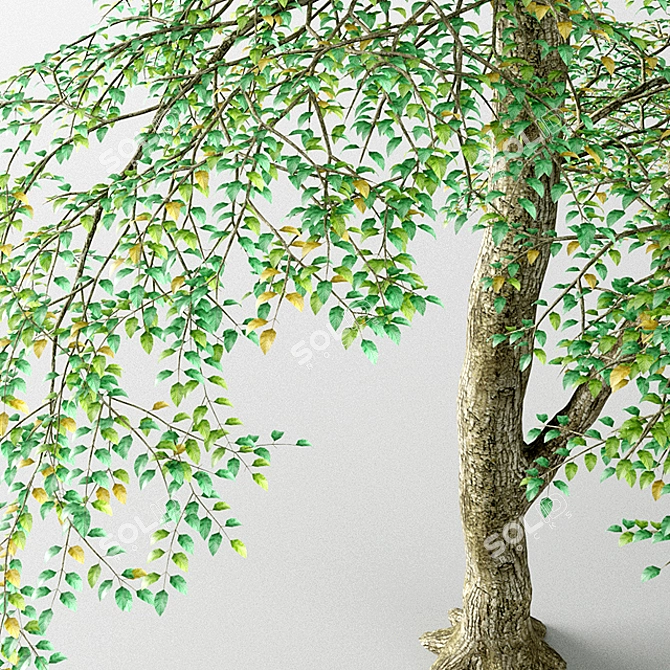 Lush Tall Tree: Stunning 3D Model 3D model image 2