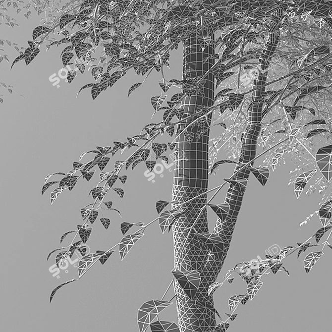 Lush Tall Tree: Stunning 3D Model 3D model image 3