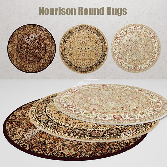 Nourison Round Rugs: Elegant and Versatile 3D model image 1