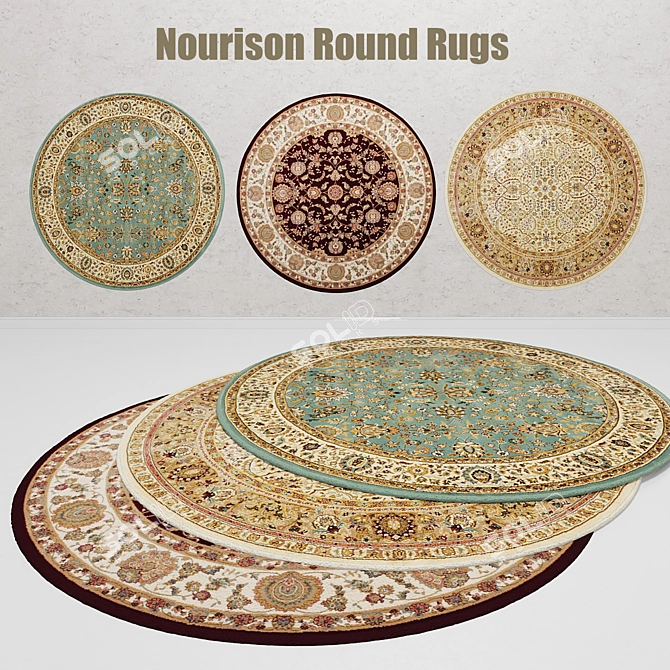 Nourison Round Rugs: Elegant and Versatile 3D model image 2