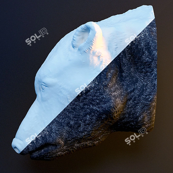 Arctic Dreams: Polar Bear Plaster Head 3D model image 3