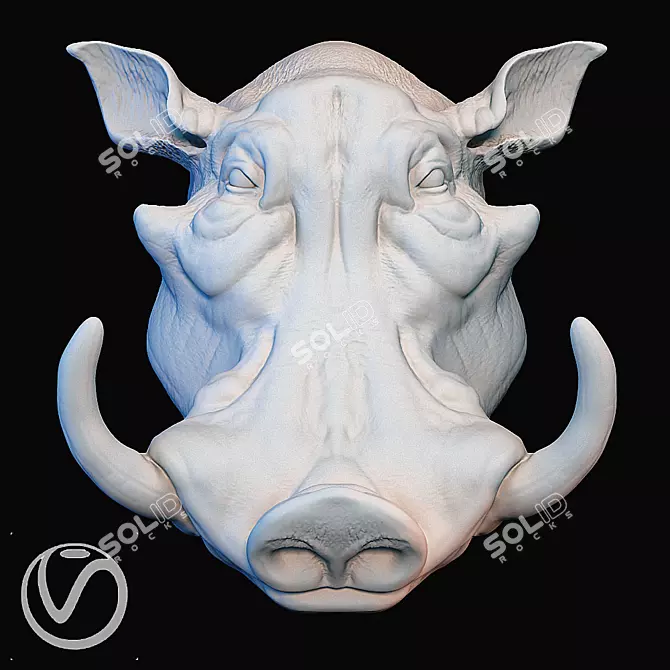 Warthog Plaster Head Sculpture 3D model image 1