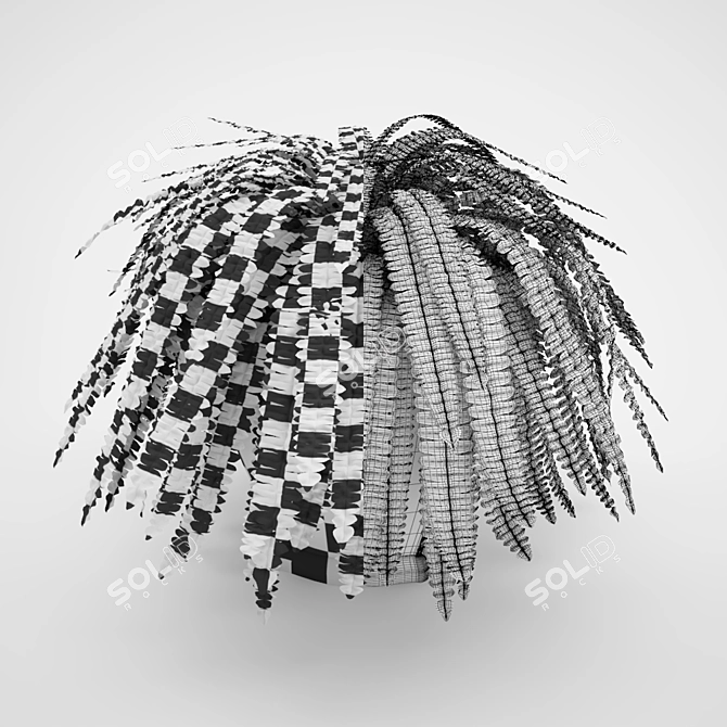 Elegant Boston Fern: Home Decor 3D model image 3