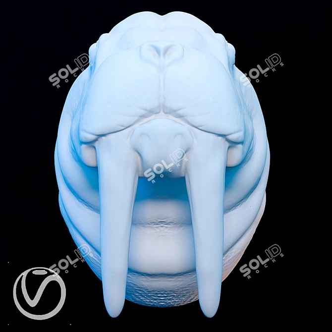 Walrus Head Sculpture 3D model image 2