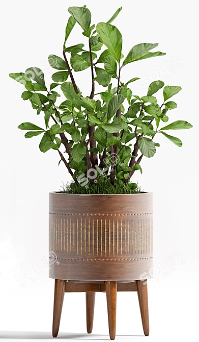 Elegant Greenery: PLANT - 71 3D model image 2