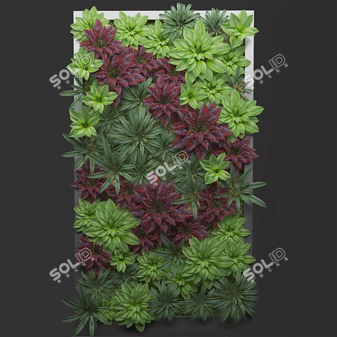 3-in-1 Herbal Fitostena 3D model image 1