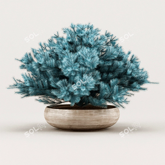 Affordable Juniper Blue 3D model image 1