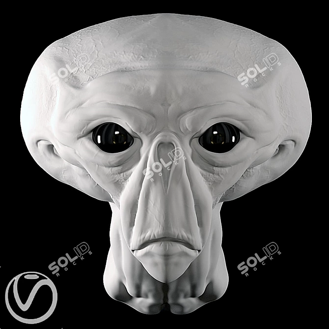 Alien Plaster Head 3D model image 2