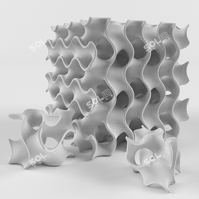 Gyroid: Minimal Surfacing Structure 3D model image 2