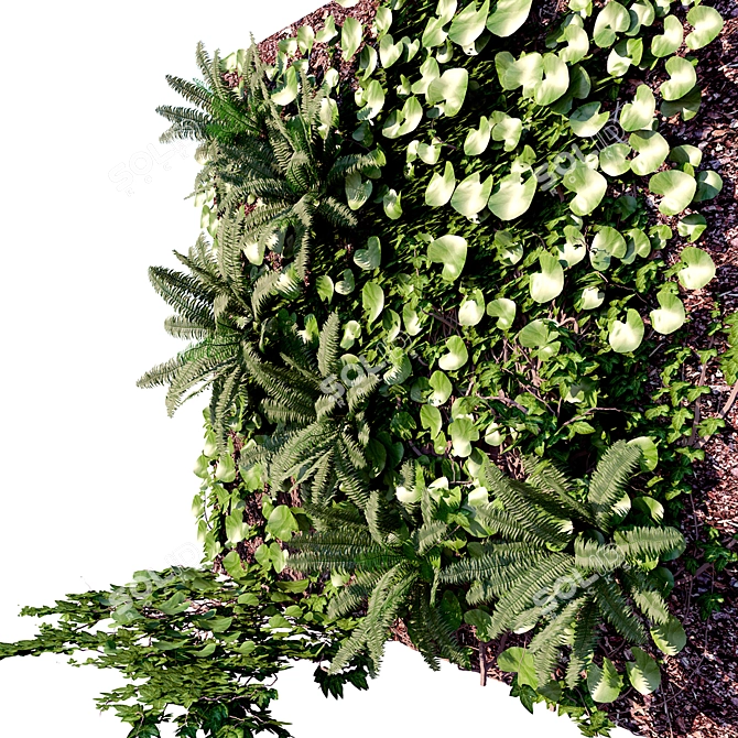 Vertical Garden Wall Panel Decoration 3D model image 3