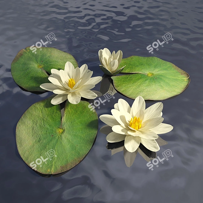 Water Lily Sculpture- Handmade for Fisherman's Hut Scene 3D model image 1